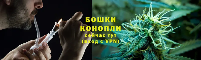 Бошки марихуана SATIVA & INDICA  Лермонтов 